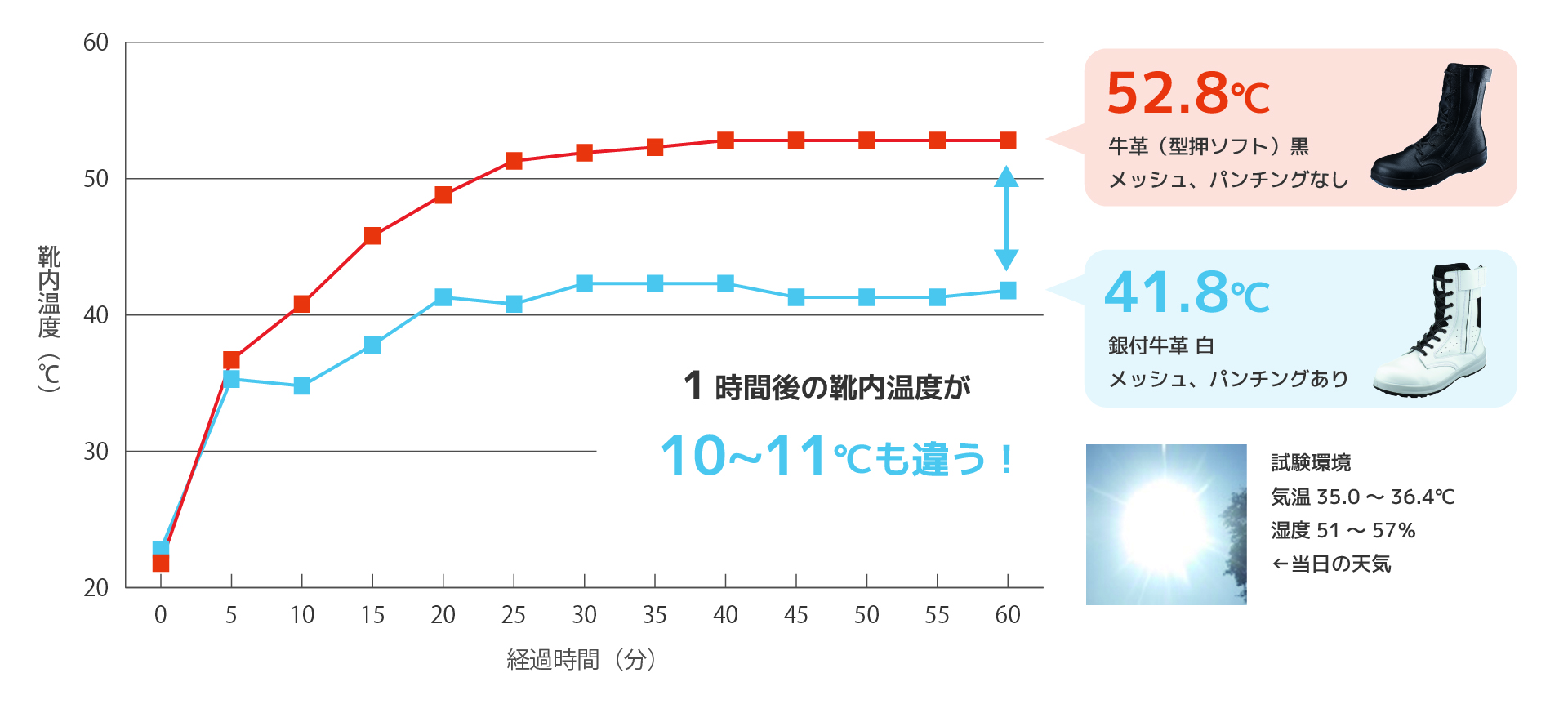 WS33C付白革静電靴グラフ